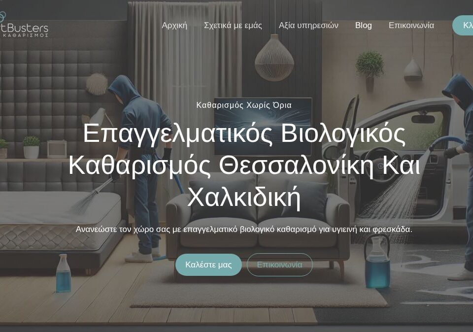 Thess Dirt Busters — screenshot από τη live ιστοσελίδα