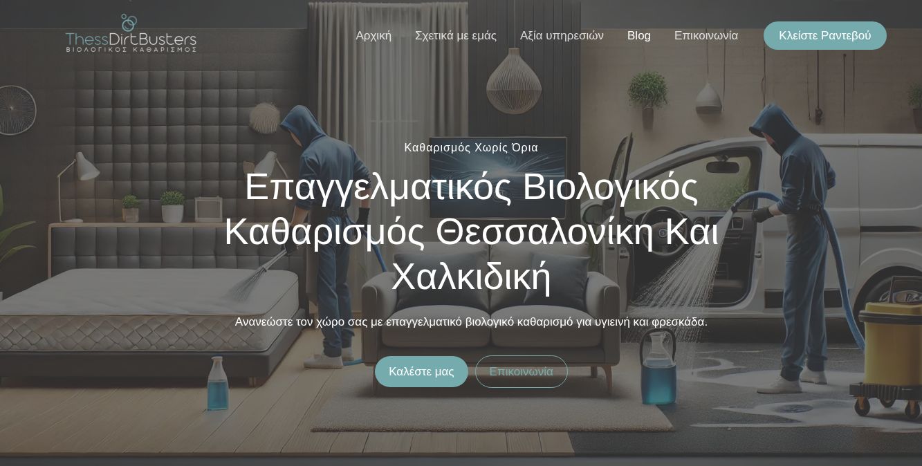 Thess Dirt Busters — screenshot από τη live ιστοσελίδα